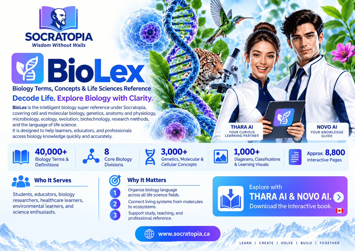 BioLex artwork 14